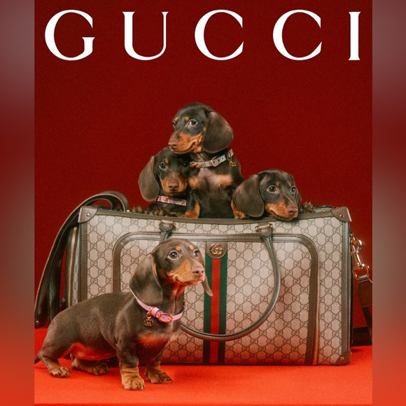 Always have fun with fashion. Dress to entertain yourself.” - Betsey Johnson - Picture 9 of 10